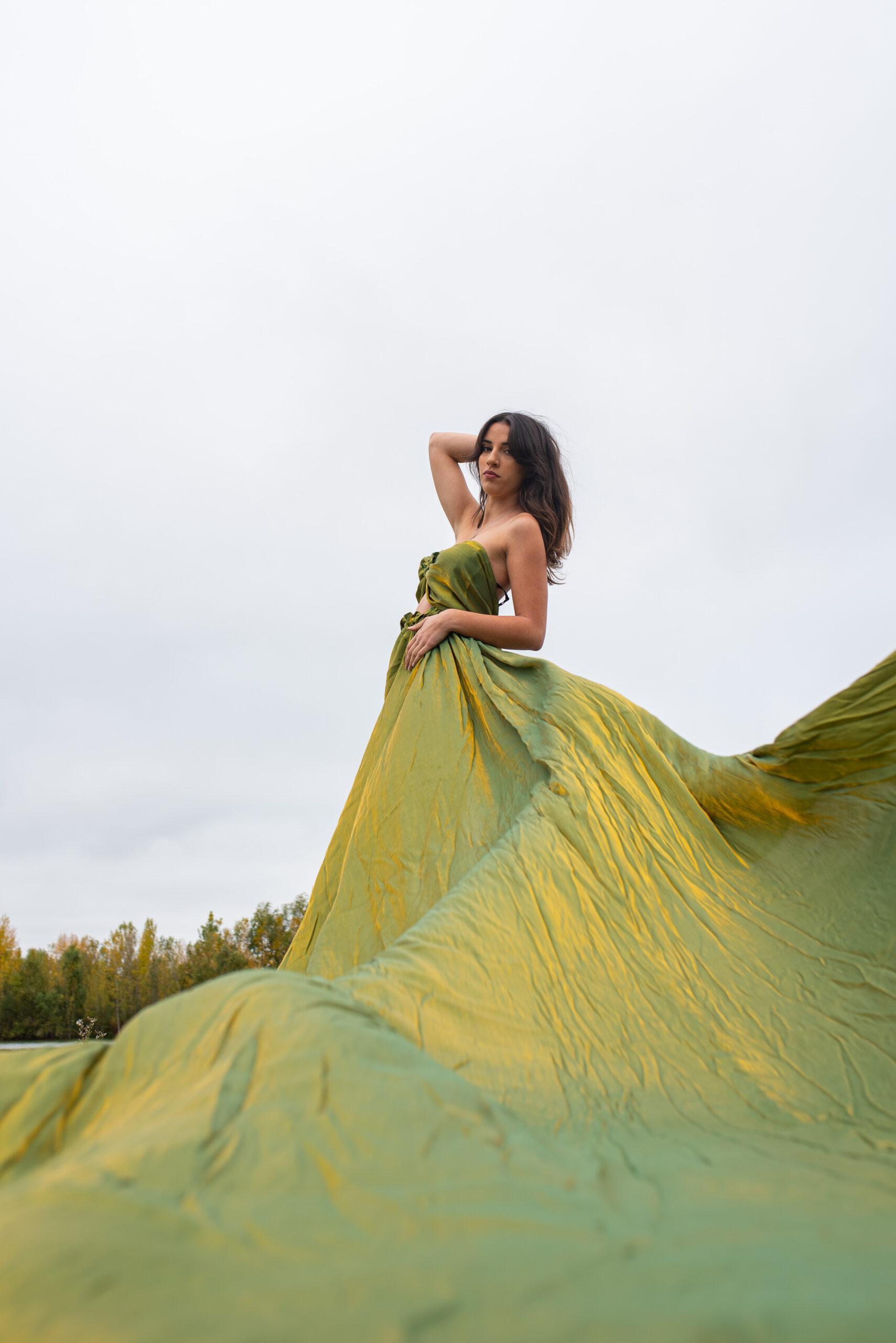 flying dress Vert Doré