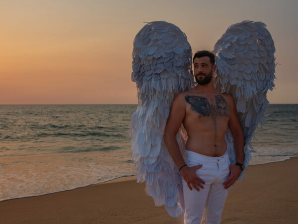 Ailes noires ou blanches